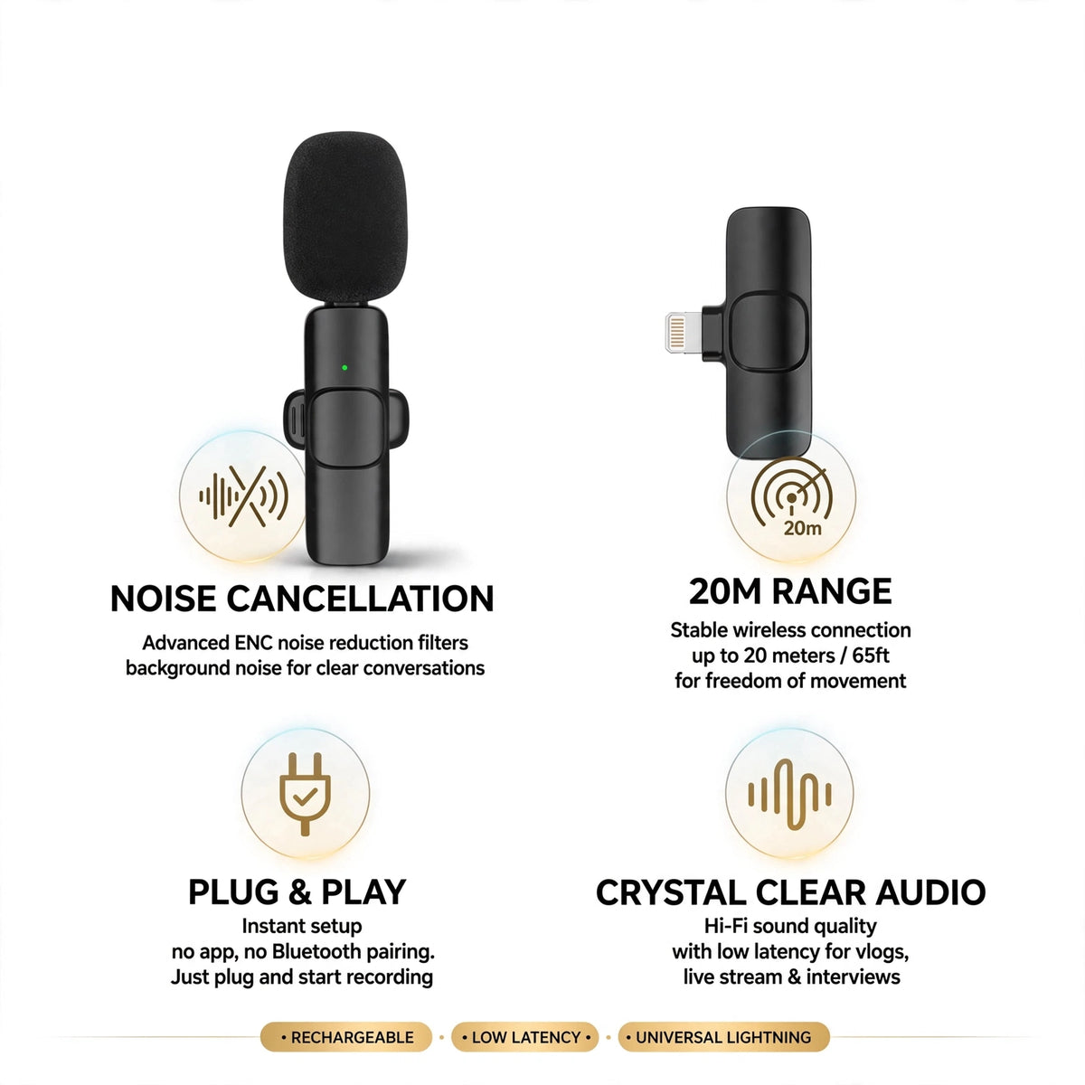 Wireless Mic